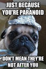 paranoid_dogdroid.jpg