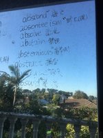 1701606433011.jpeg