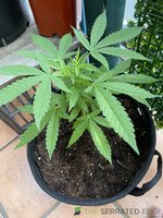 IMG_1973.jpeg
