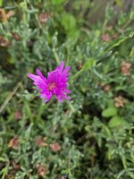 20231207_164214.jpg
