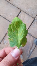 20231207_193853.jpg