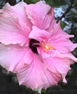 IMG_5.JPG