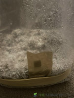 2125A352-018A-4073-92EC-86DDC82DE60E.jpeg