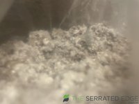 9D7640C6-C727-4862-8D3E-7EB1ED2100A9.jpeg