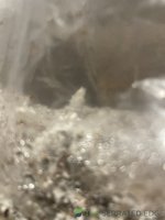 7D4A2DBA-0361-41EA-83EB-9C9AF1CB8A48.jpeg