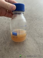 IMG_2842.jpeg