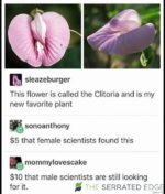 1708919875196.png