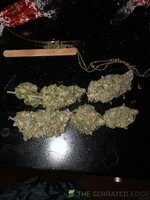 IMG_5301.jpeg