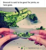 1709262624630.png