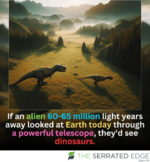 Dinos.png