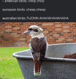 FB_IMG_1679036647100.jpg