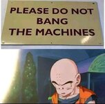 FB_IMG_1708336950017.jpg