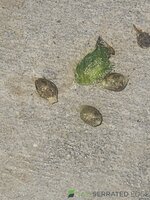 20240307_105251.jpg
