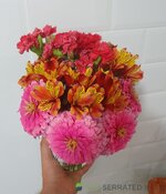 20240308_205513.jpg