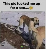 FB_IMG_1710484359538.jpg