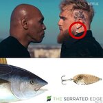 FB_IMG_1710493065599.jpg