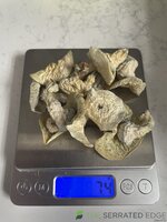 FAABD808-D502-46AC-8C41-63787501717D.jpeg