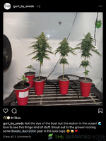 Screenshot 2024-03-26 at 20-03-52 Instagram.png
