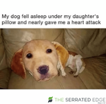 1711693359856.png