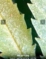 IMG_20240330_194013~2.jpg