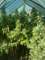 IMG_4822.jpeg