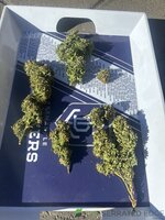 IMG_4825.jpeg