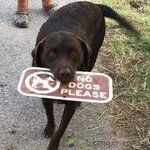 no dogs.jpg