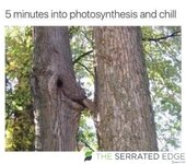 FB_IMG_1713598046762.jpg