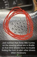 IMG_1319.jpeg