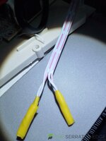 IMG_20240423_083928.jpg