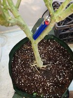 20240426_201312.jpg