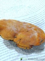 IMG_20240503_120800.jpg