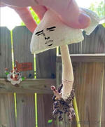 1716076198482.png