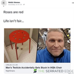 1717043355880.png