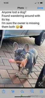 1717240605548.png