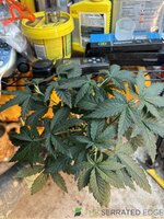 IMG_8814.jpeg