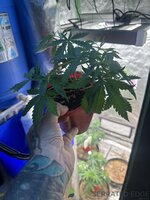 IMG_8813.jpeg