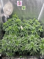 IMG_8843.jpeg