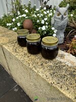 IMG_5200.jpeg