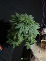 IMG_8878.jpeg