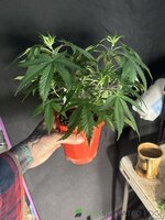 IMG_8900.jpeg