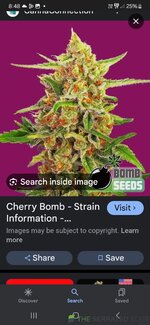 Screenshot_20240620_084819_Google.jpg