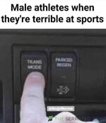 FB_IMG_1719479177368.jpg