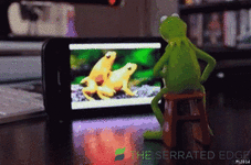 Kermit wanking.gif