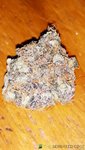 20200923_135531.jpg