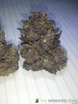 IMG_20200924_172931.jpg