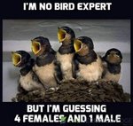 bird expert.jpg