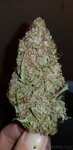 20200925_185139.jpg