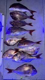 IMG_20240816_202305.jpg