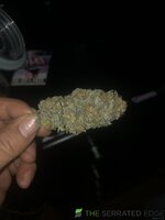 IMG_6736.jpeg